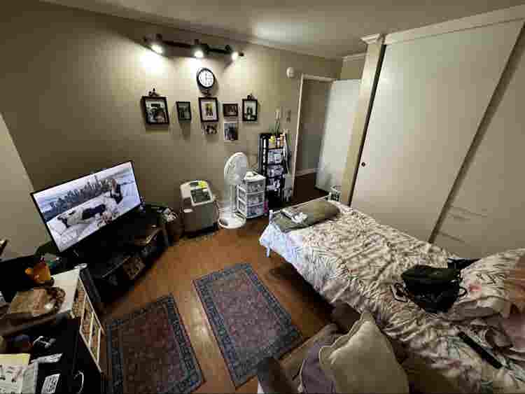 Room for rent near USD