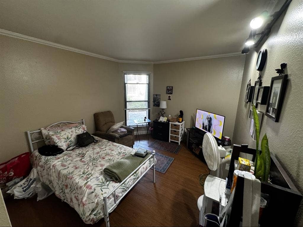 Room for rent near USD