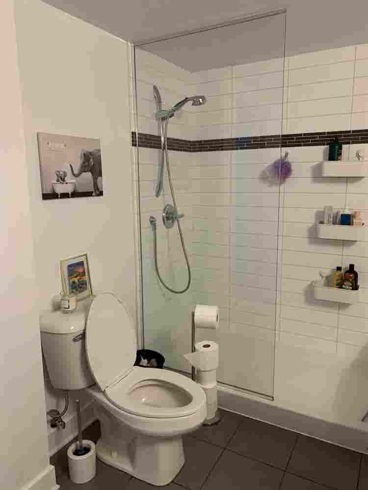 Recherche colocataire janvier