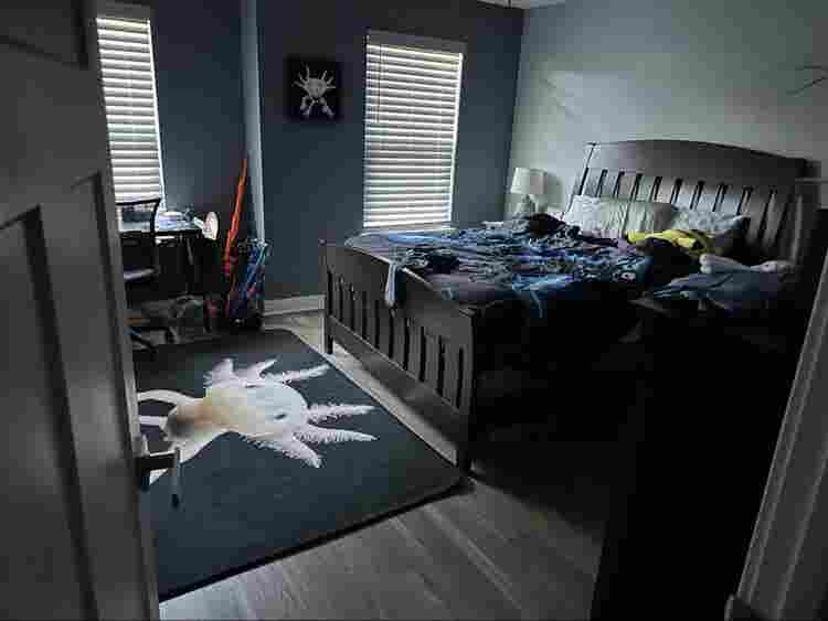 Looking for
 a roommate