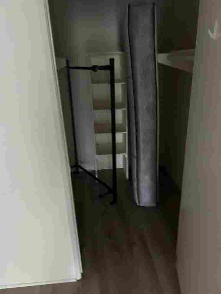 Looking for Roommate
