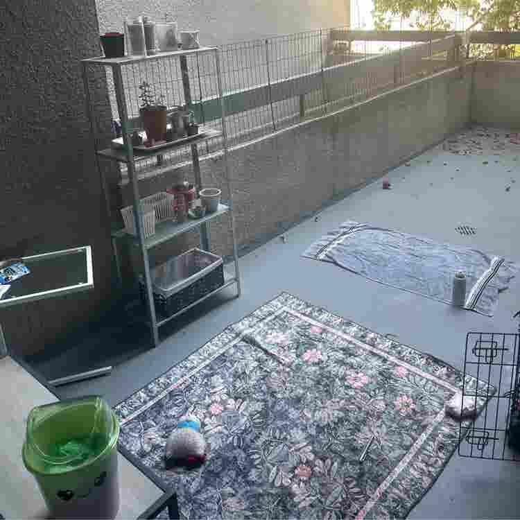 Looking for Roommate