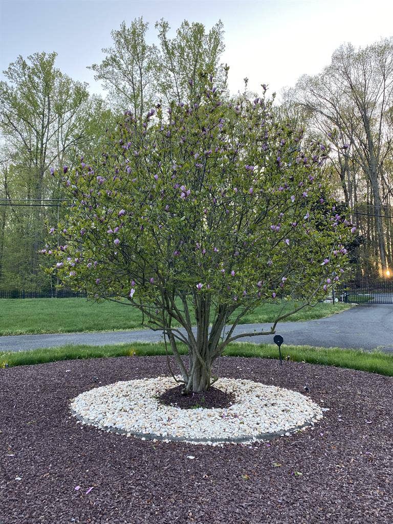 Gorgeous Luxury Home Fairfax County