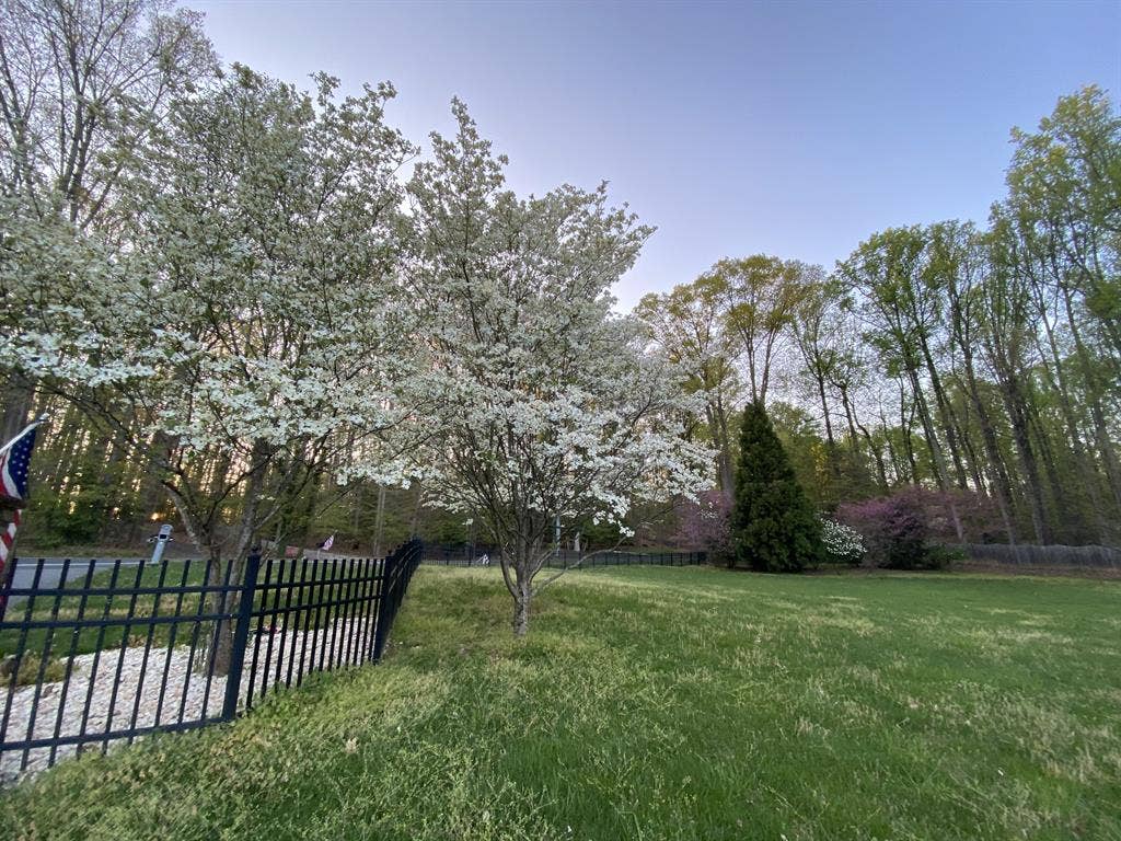 Gorgeous Luxury Home Fairfax County