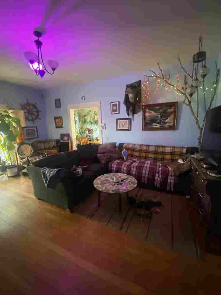 New Listing