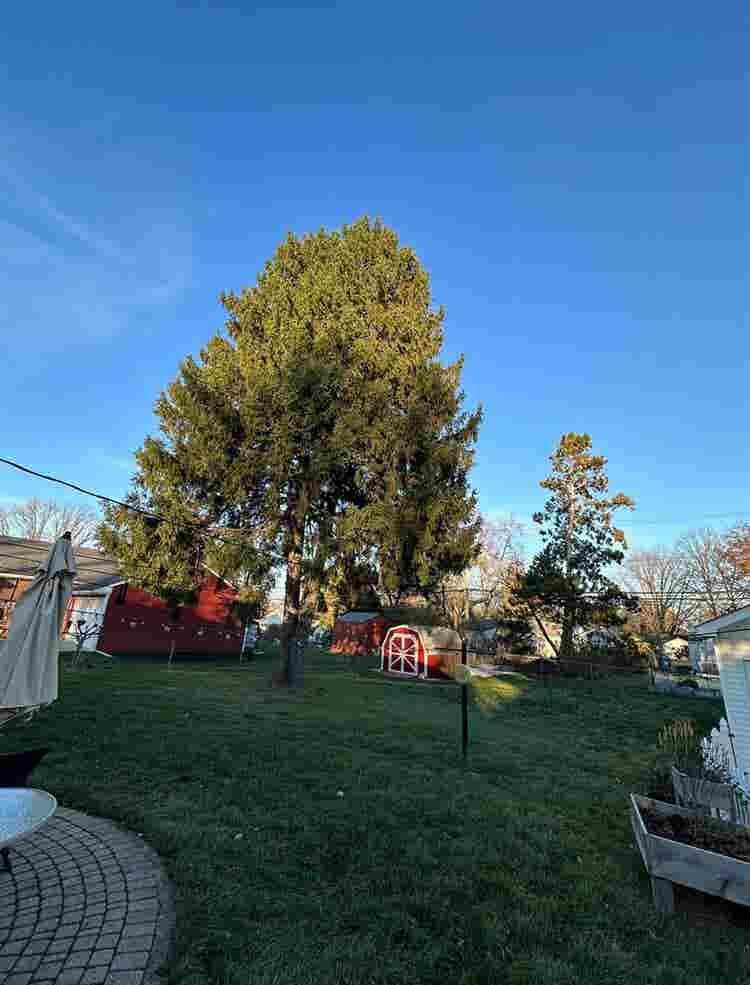 Charming Home For Rent!!!