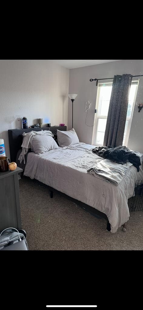 Private Room- Available Immediately