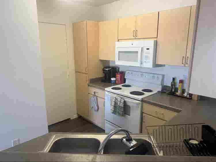 Roommate wanted for b