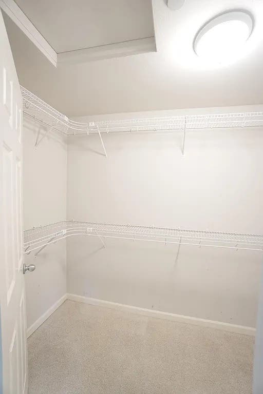 b available in Bellevue