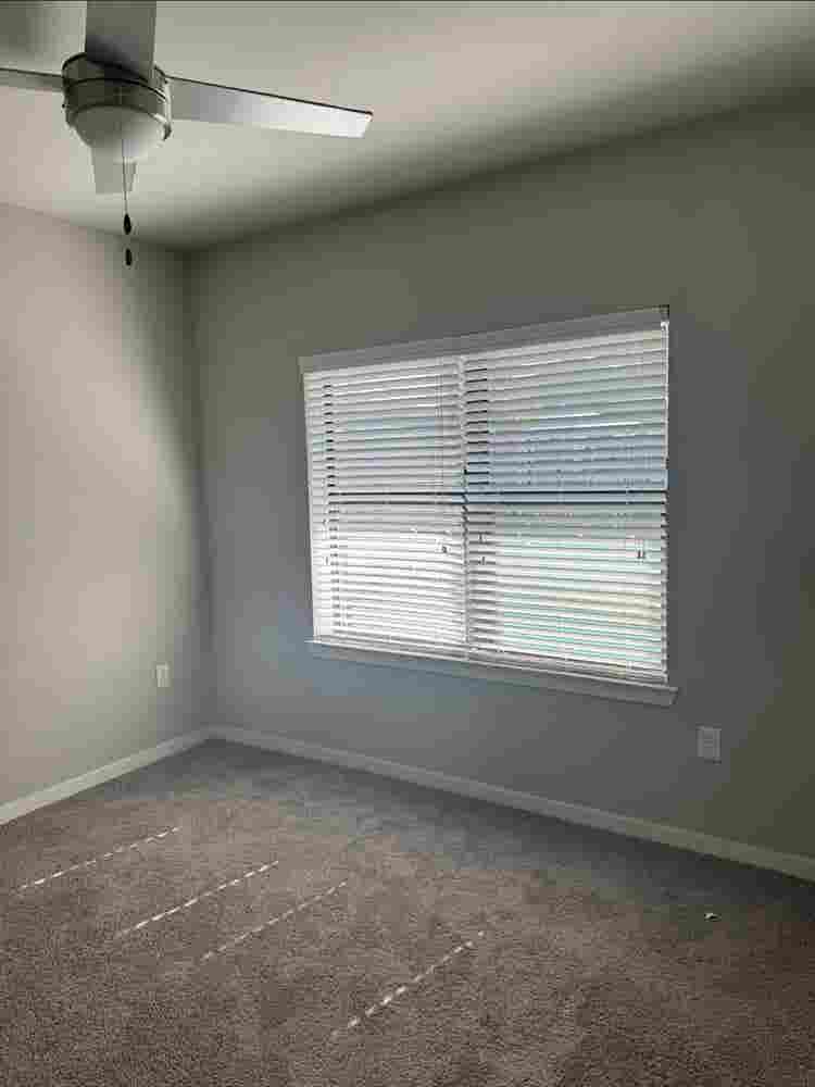 Looking for roommate starting Nov 1