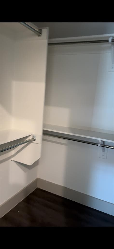 Looking for a roommate