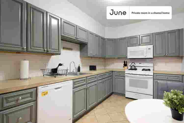 6 BR in Boston