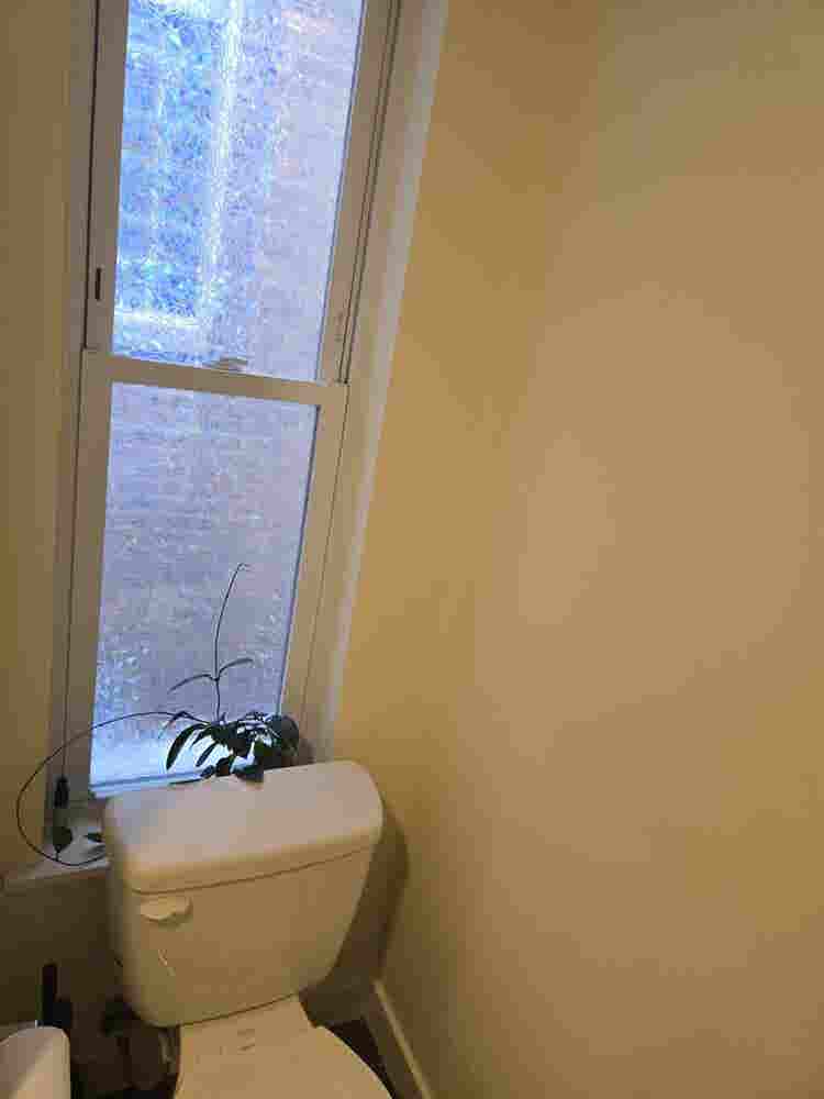 One bedroom and private bath