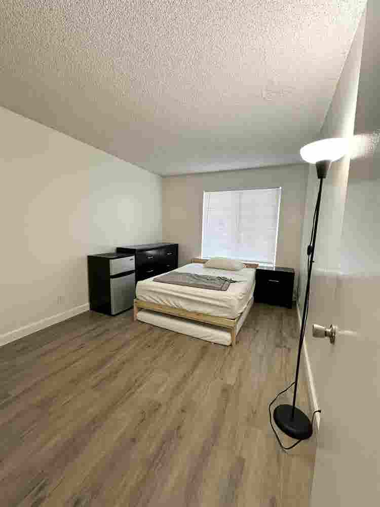 Need a roommate