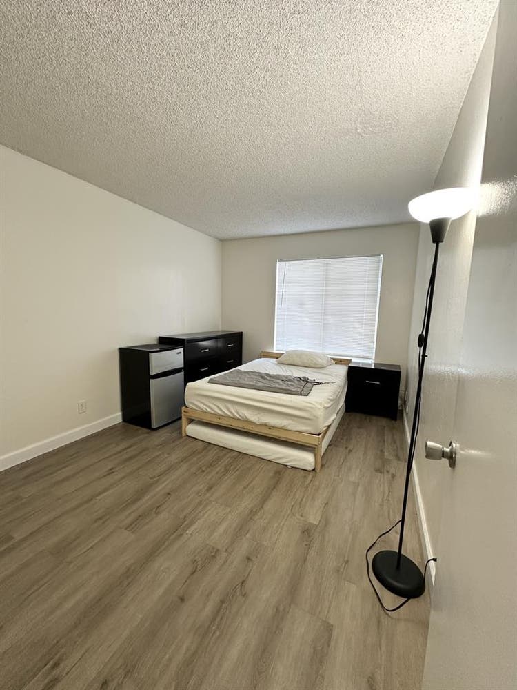 Need a roommate