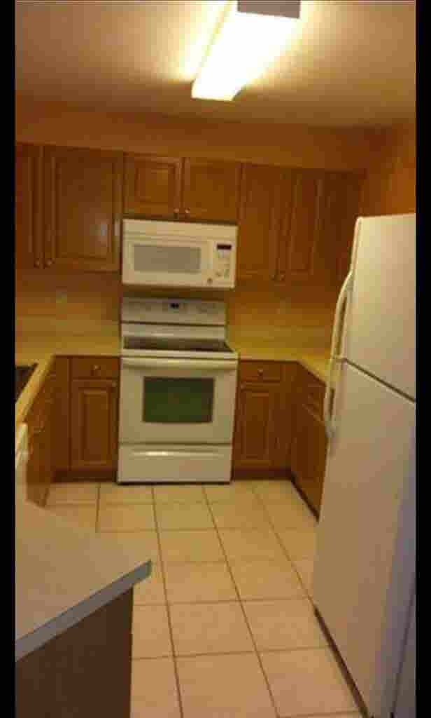 Looking for a quiet roommate
