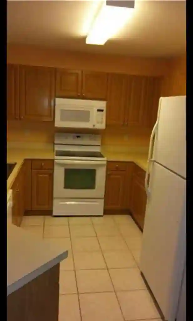 Looking for a quiet roommate