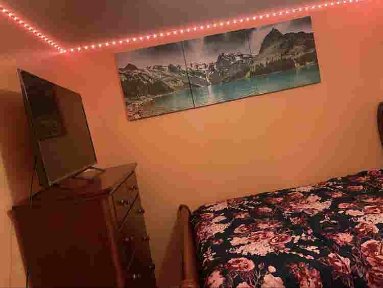 Looking for a quiet roommate