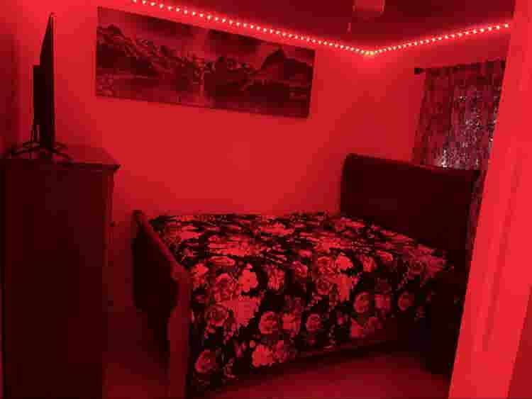 Looking for a quiet roommate