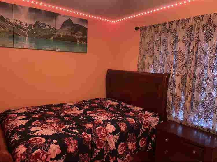Looking for a quiet roommate