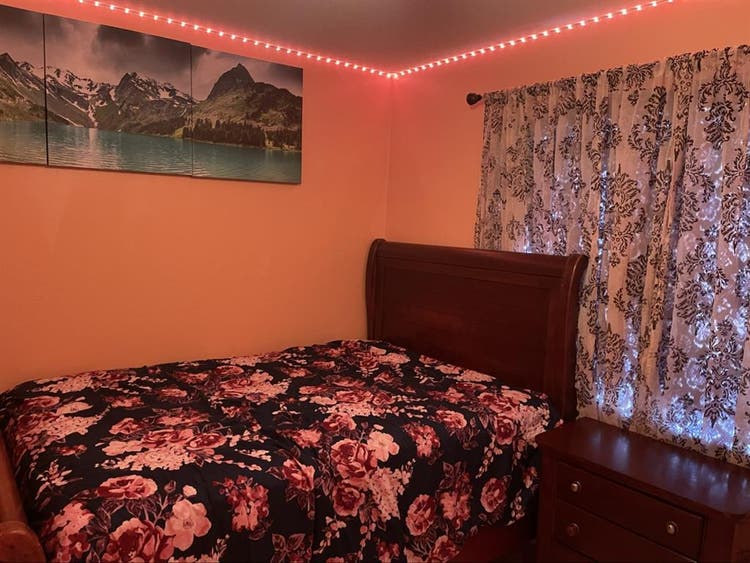 Looking for a quiet roommate
