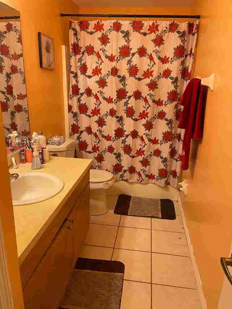 Looking for a quiet roommate