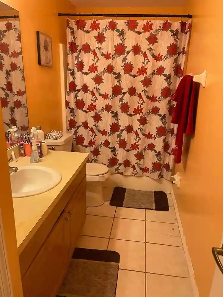 Looking for a quiet roommate