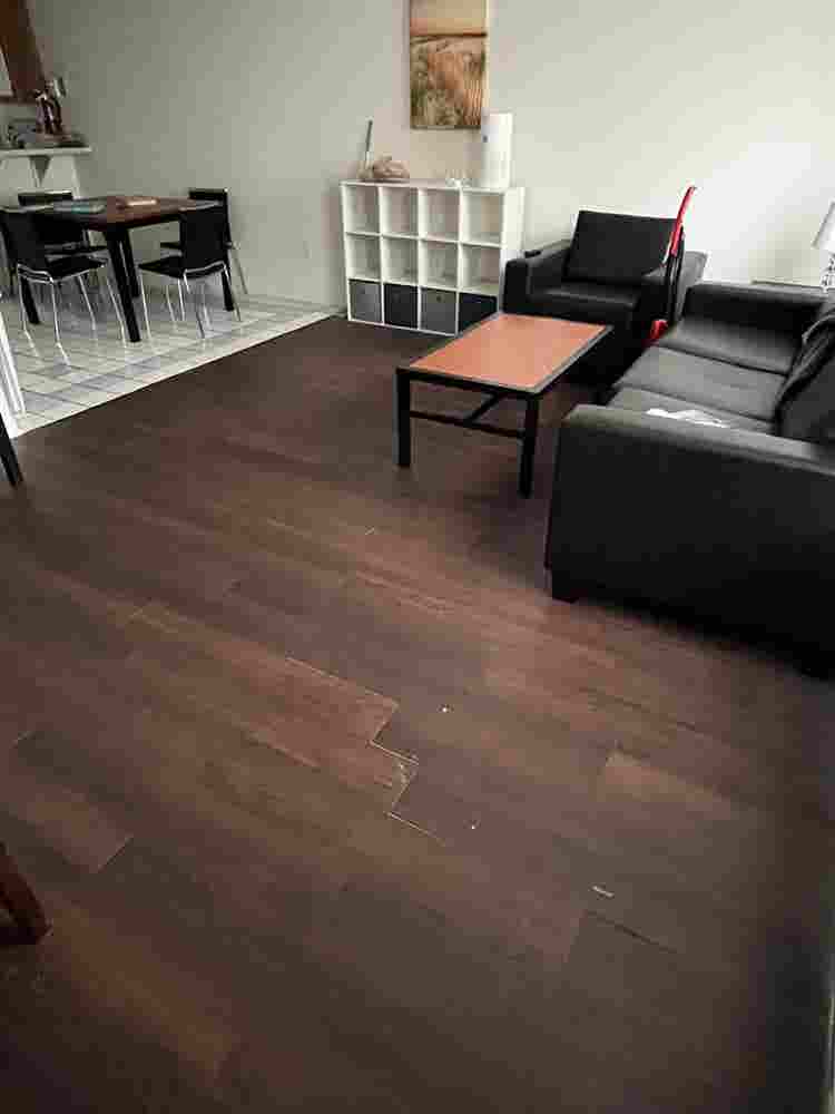 UCF Room for rent