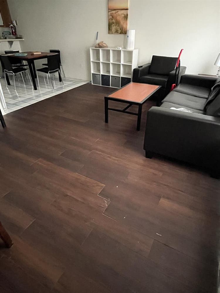 UCF Room for rent