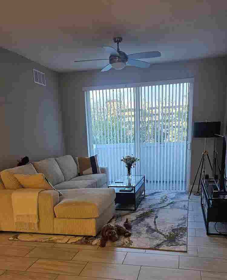 Looking for a roommate