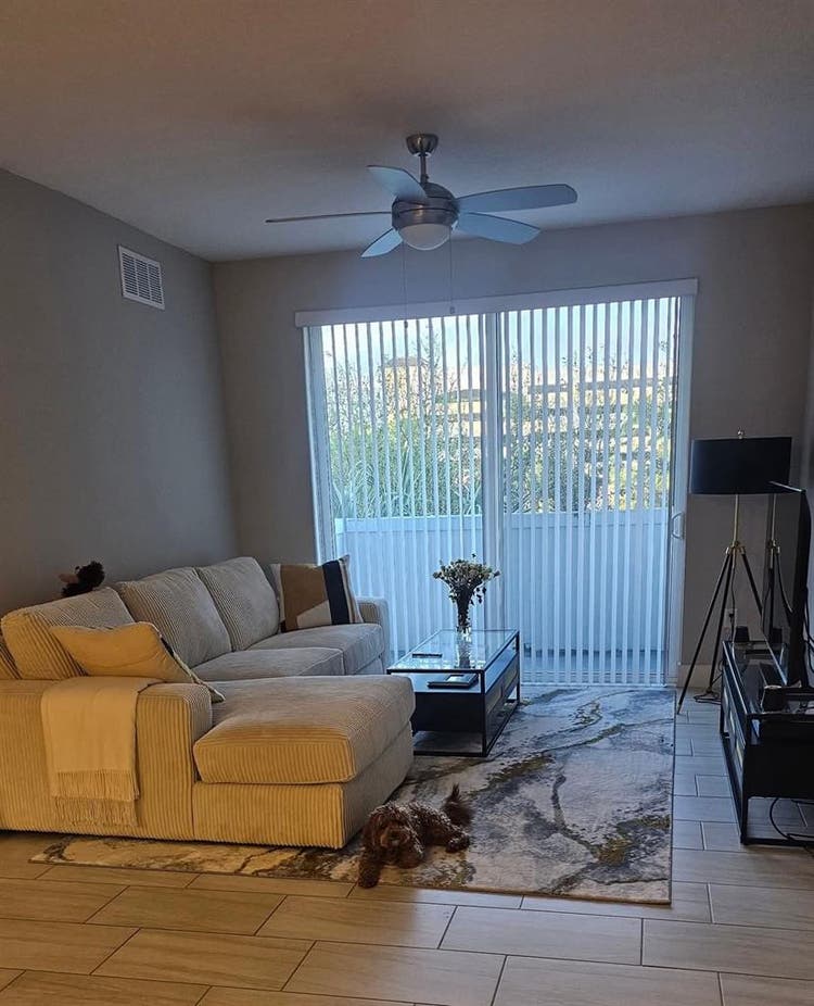Looking for a roommate