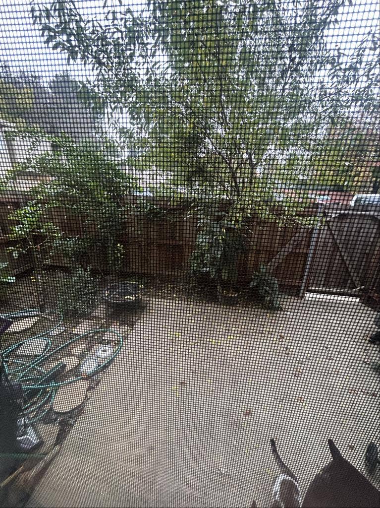 Small room in 4 bedrooms Townhouse