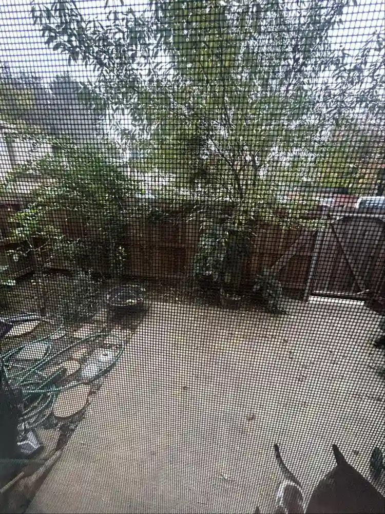 Small room in 4 bedrooms Townhouse