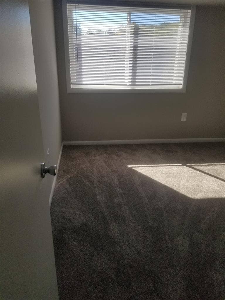 Looking for male room mates