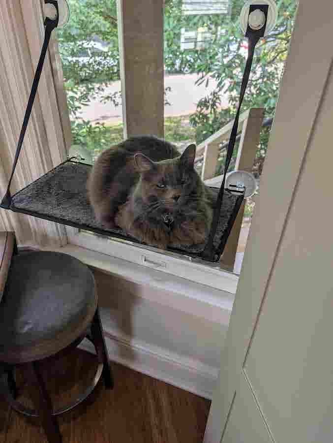 $1250 Room in Cap Hill home
