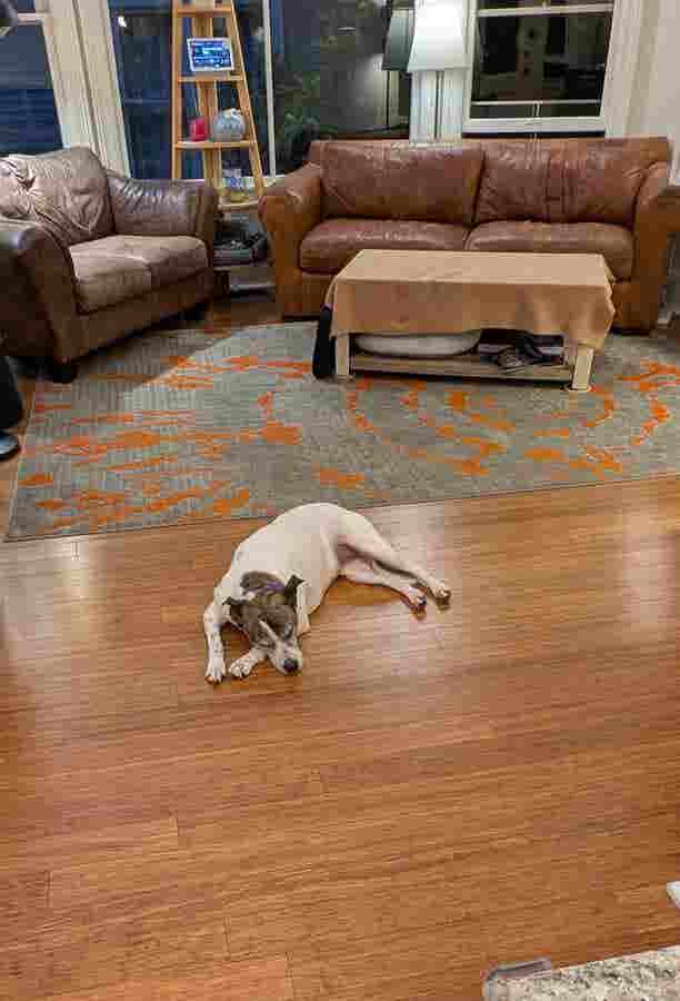 $1250 Room in Cap Hill home