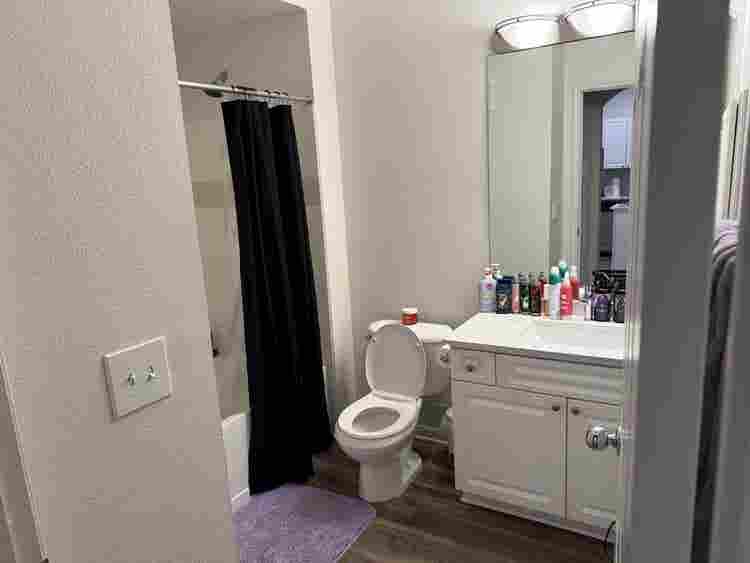 Looking for a female Roommate