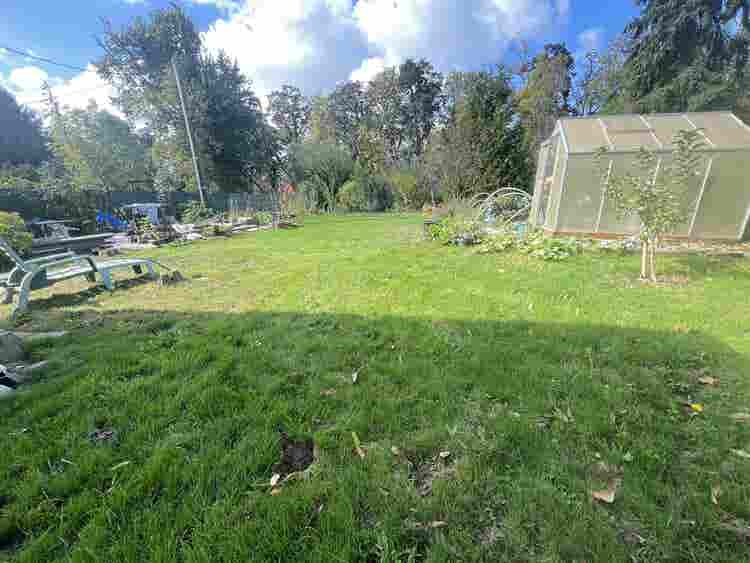Furnished cozy room w/ big yard