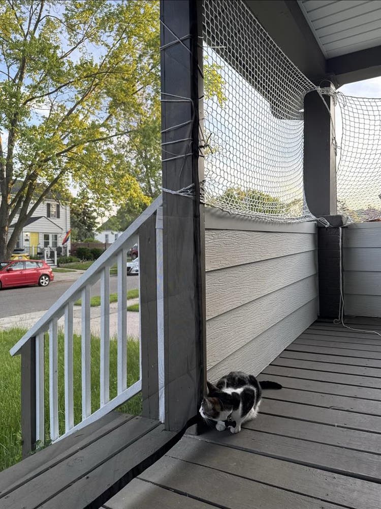 2 people looking for  
roommates!