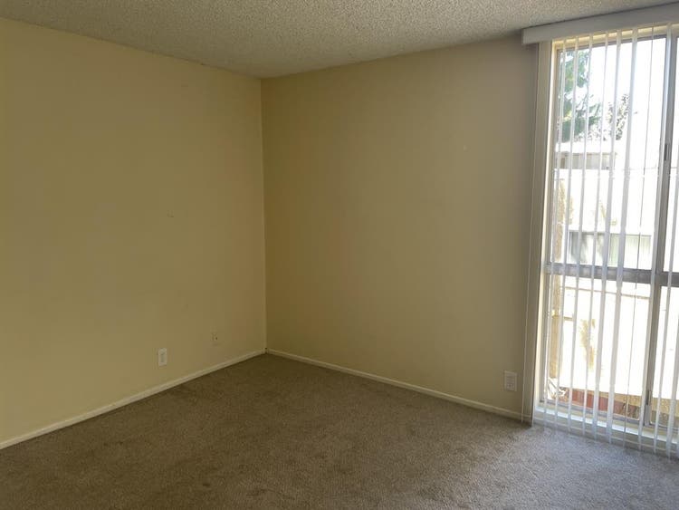 Private Room + Bathroom for Rent