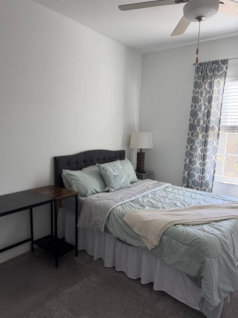 Cozy Room in New Tampa