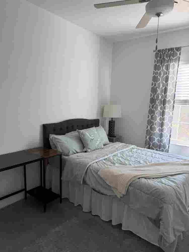 Cozy Room in New Tampa