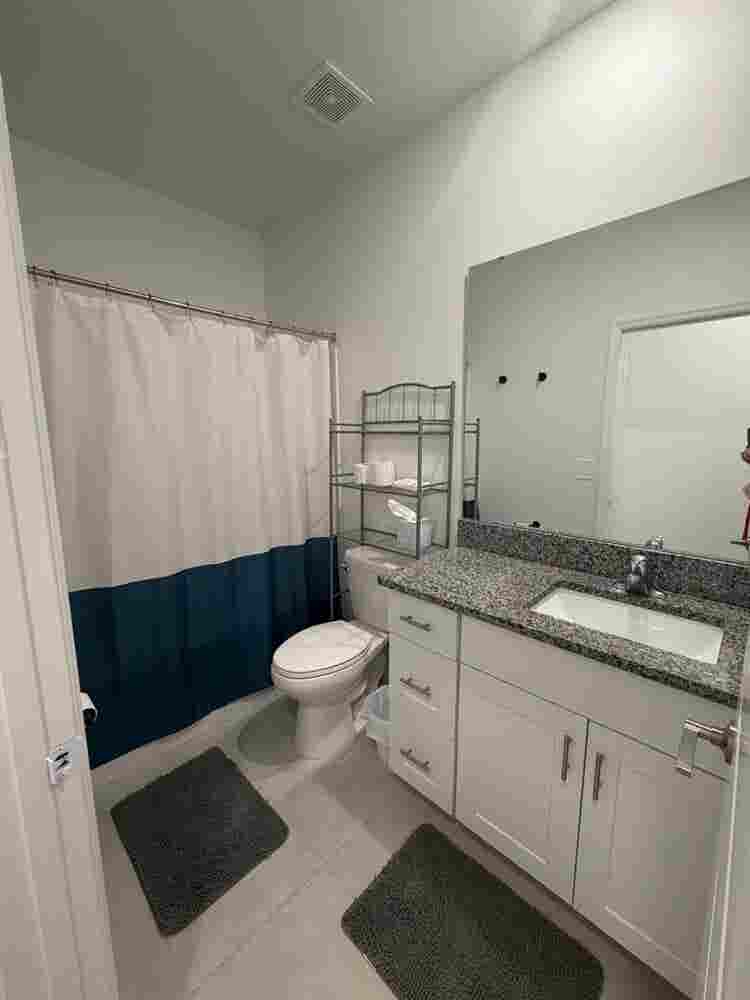 Cozy Room in New Tampa