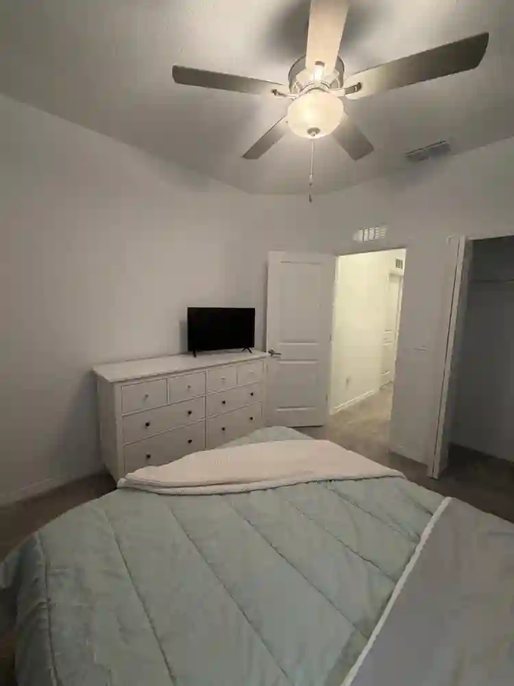Cozy Room in New Tampa