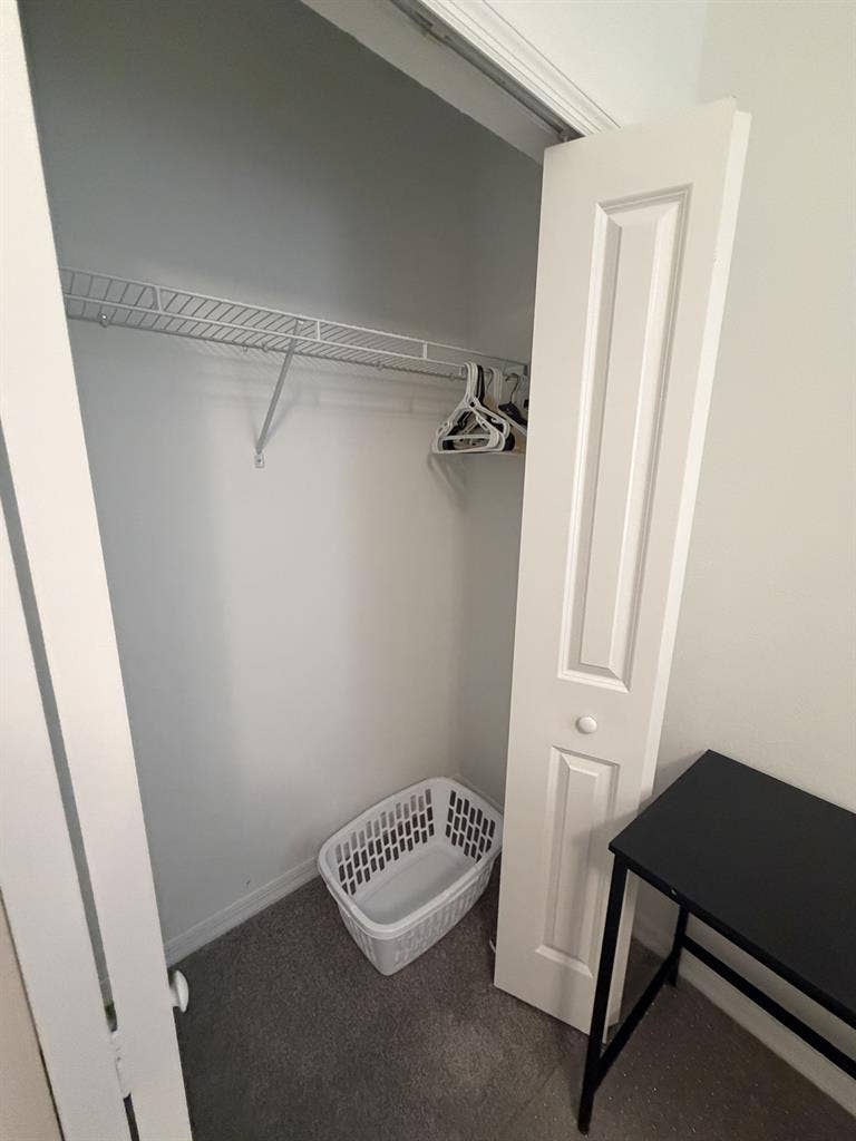 Cozy Room in New Tampa