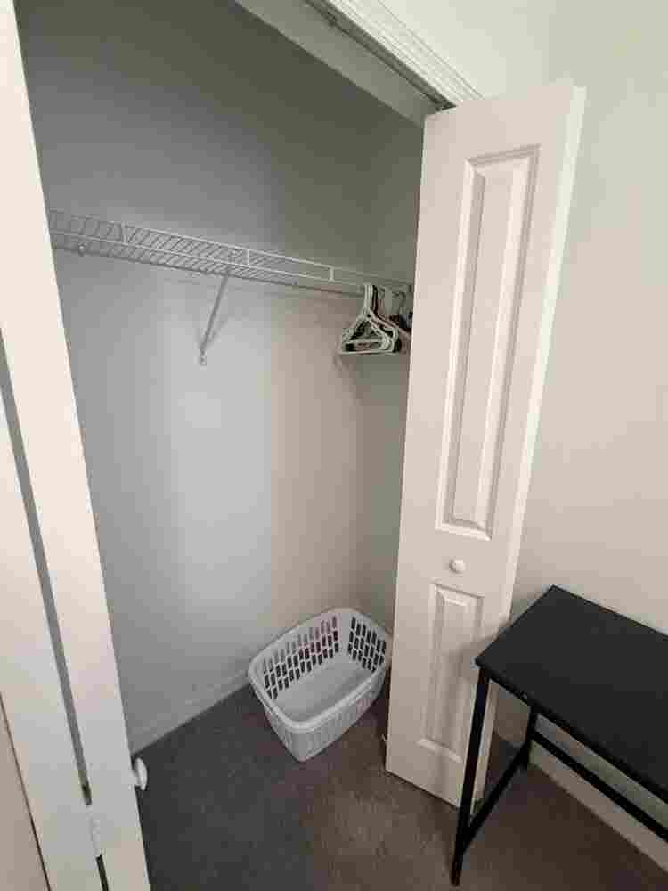 Cozy Room in New Tampa