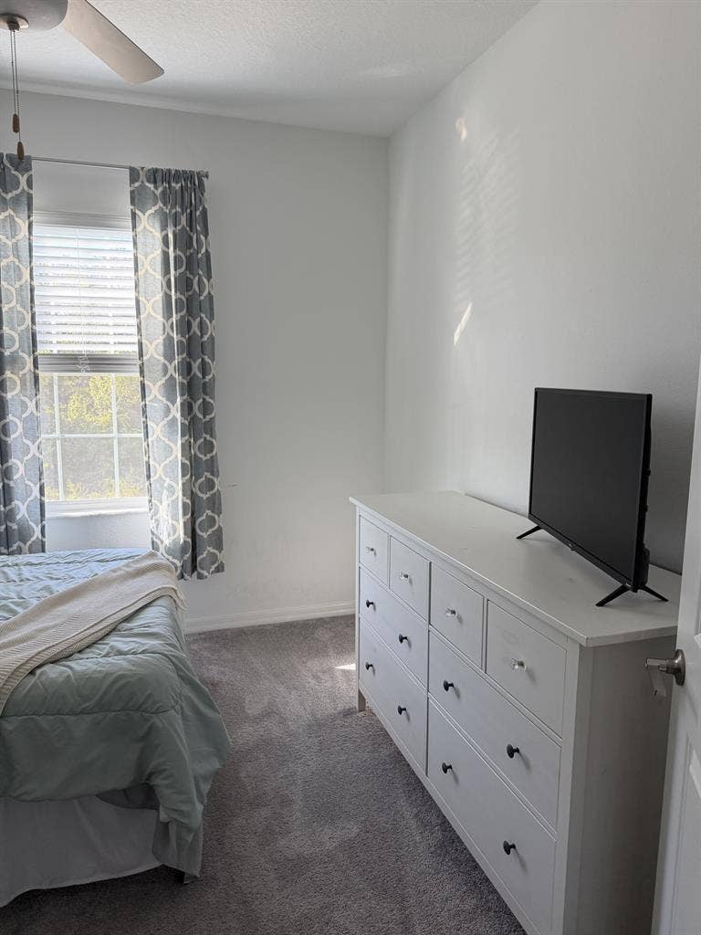 Cozy Room in New Tampa