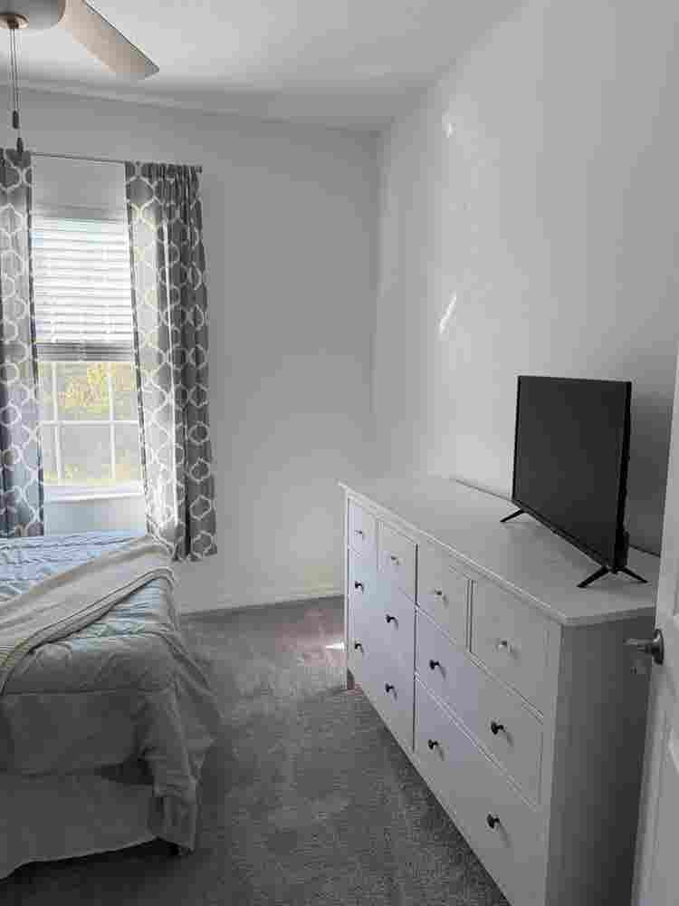 Cozy Room in New Tampa