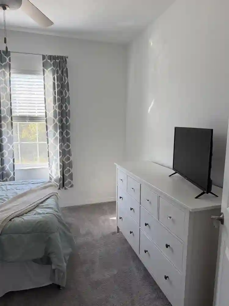 Cozy Room in New Tampa