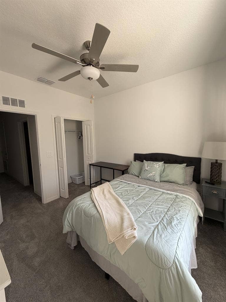 Cozy Room in New Tampa